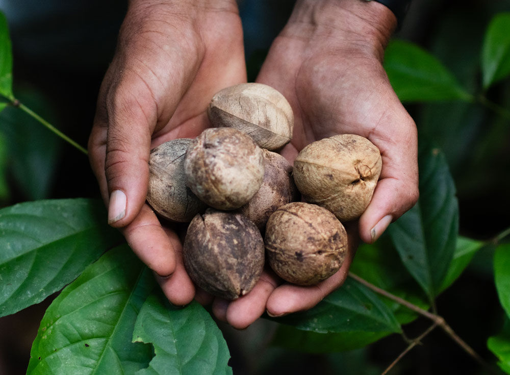 Imagen mano con producto Sescacay aceite biointensivo